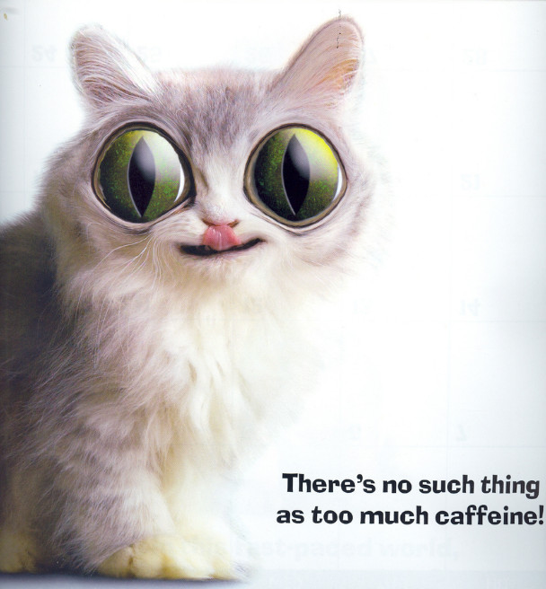 mehr kaffee.jpg