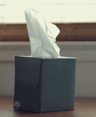 Meme (11).gif