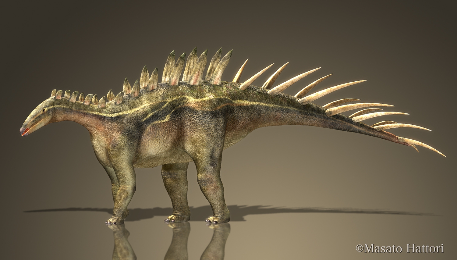 MH_Dacentrurus.jpg