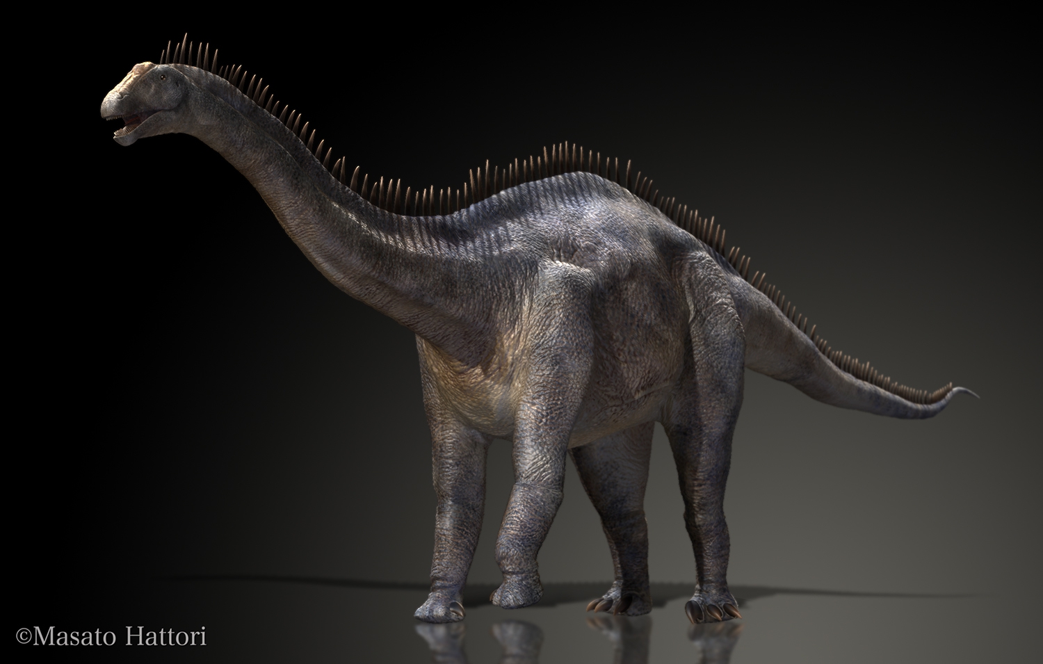 MH_Dicraeosaurus (1).jpg