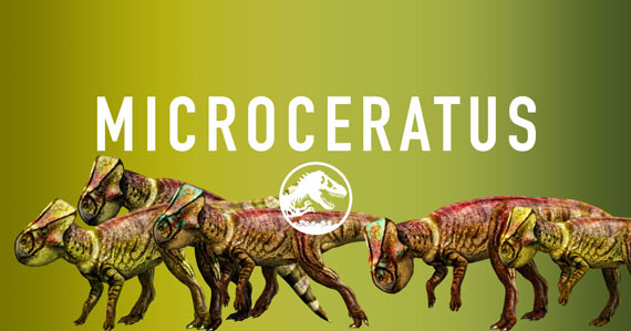 Microceratus.png
