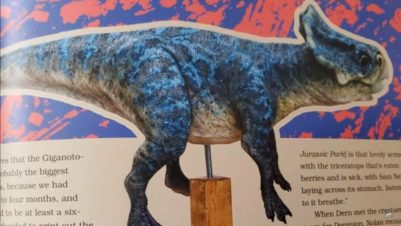 Microceratus.png