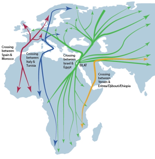 migration_map_we_500_513.jpg