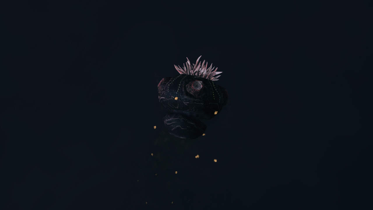 Mollusc.jpg