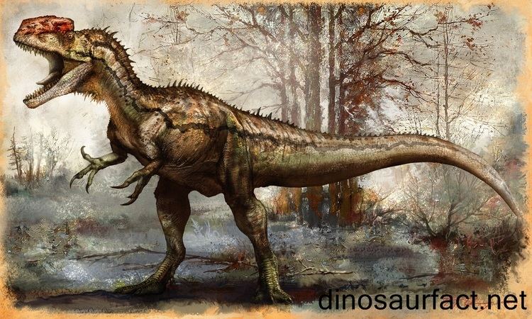 monolophosaurus-87f80d30-2b25-4039-b53f-791cfc27b3b-resize-750.jpeg
