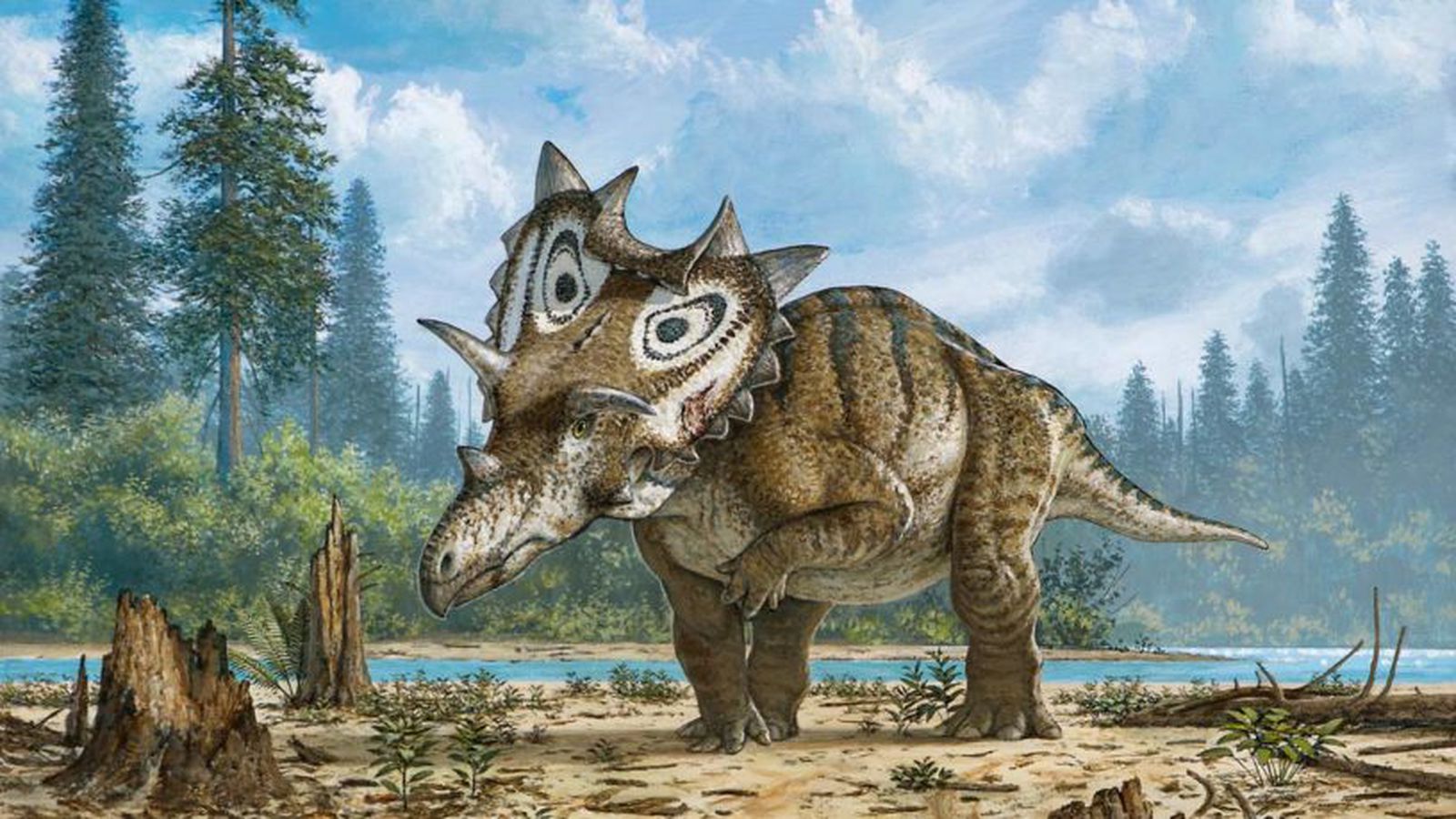Montana-Dinosaur-NH-4-816x460.0.0.jpg