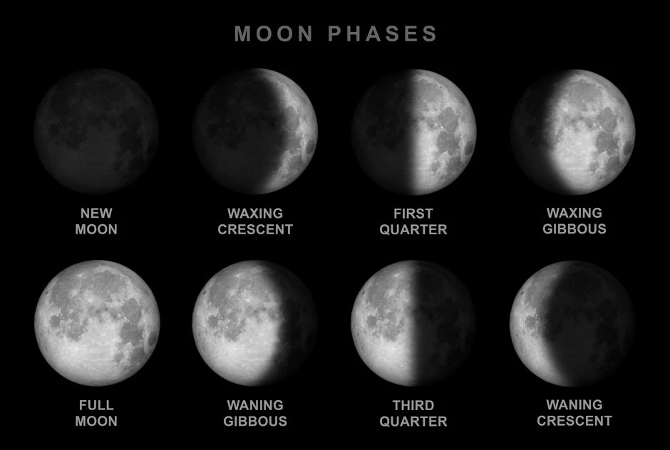moon-phases-c677e9c.jpg