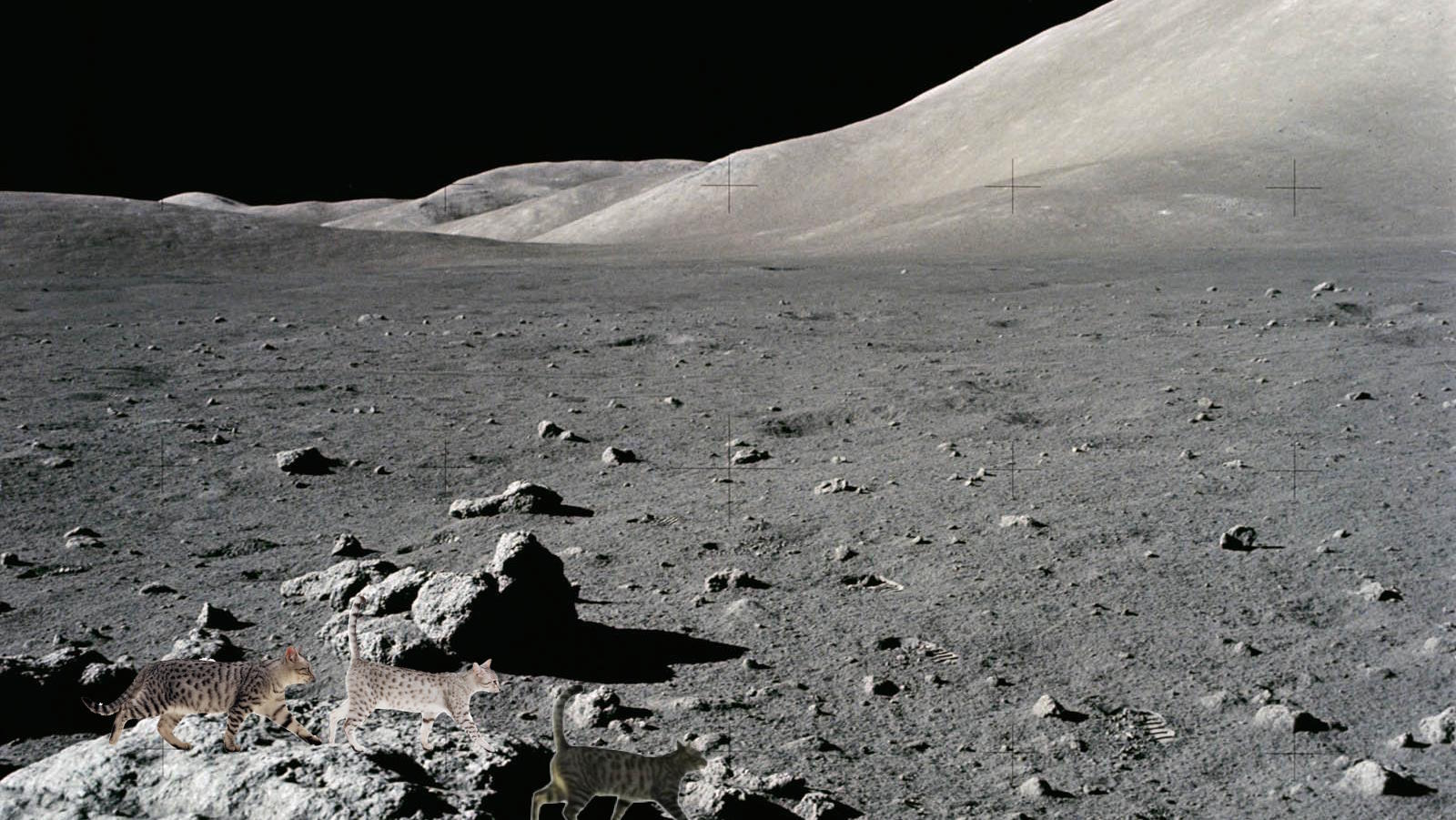 moon-surface_00400076.jpg