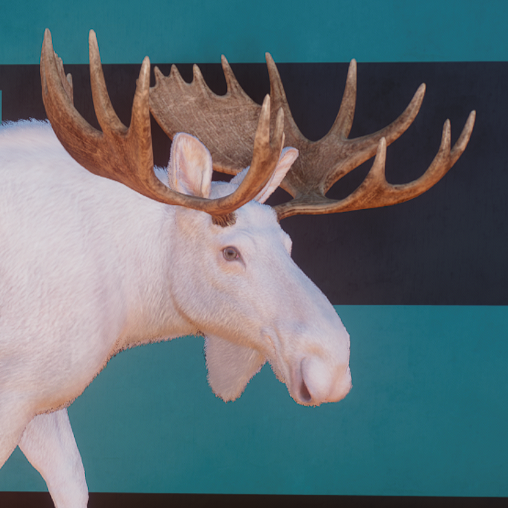 Moose Avatar (Albino Male).png