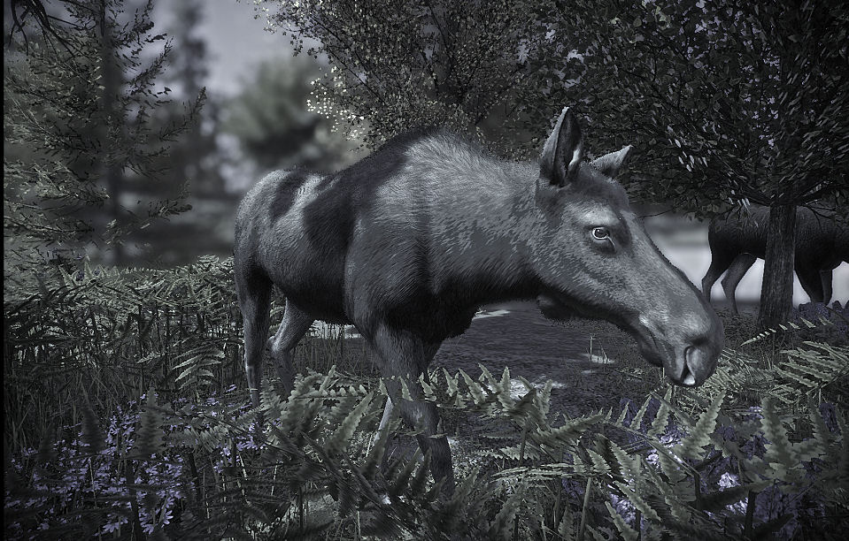 Moose in Planet Zoo march 2022 (8).jpg