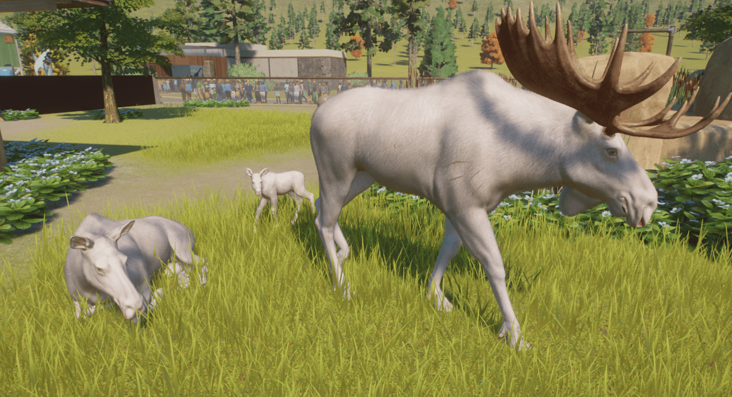 Moose.png