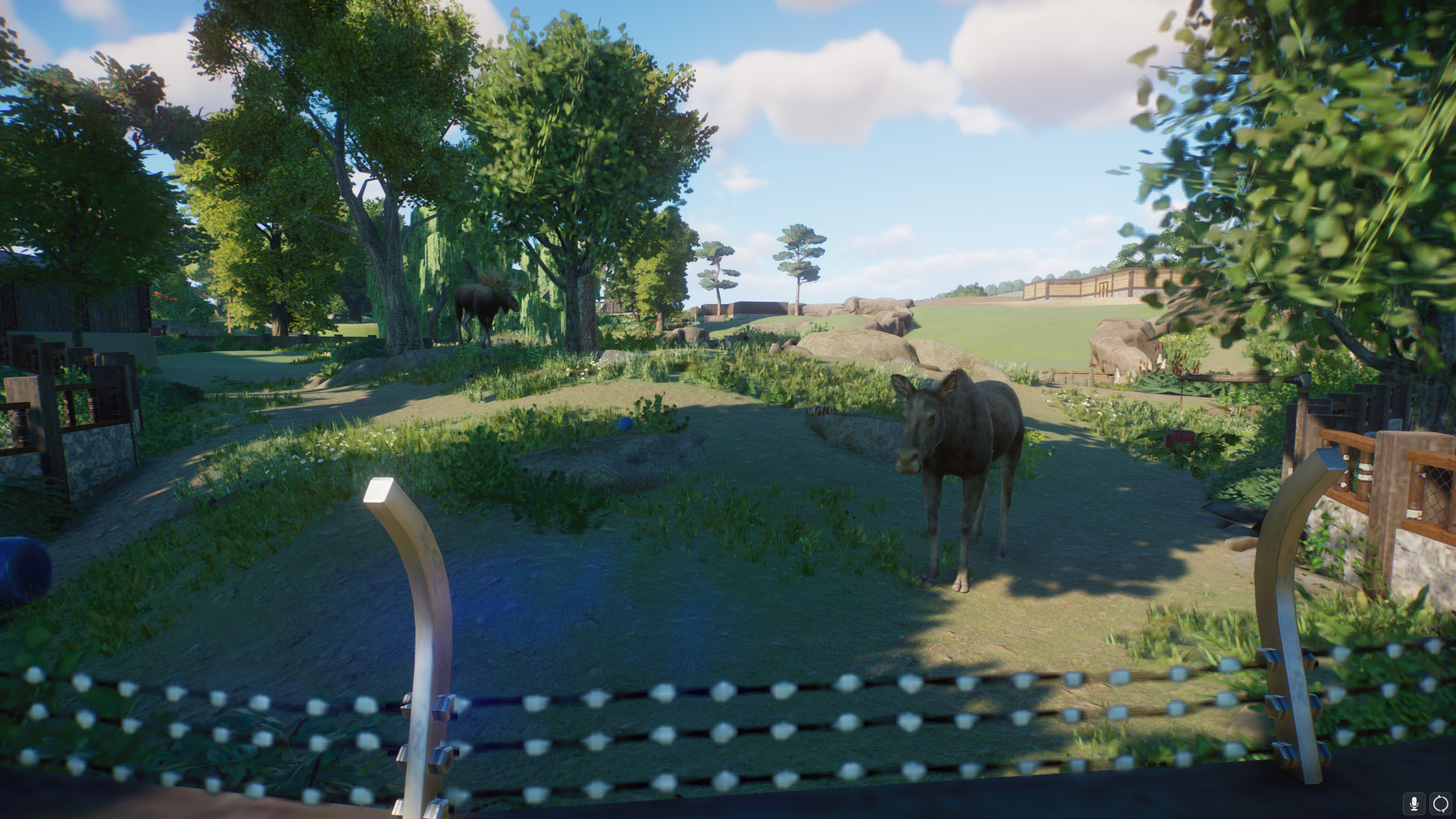 moose1.jpeg
