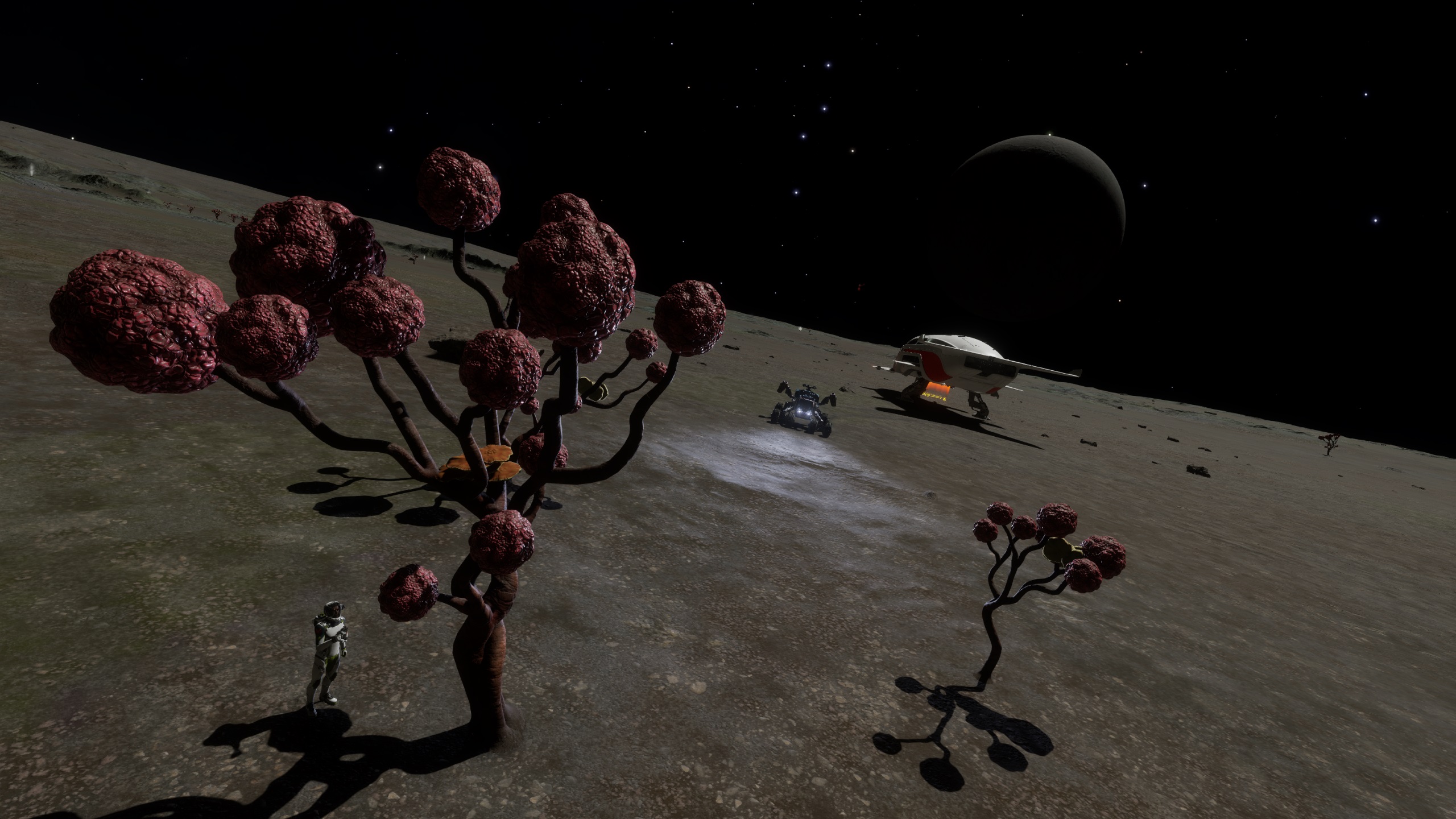 more braintrees.jpg