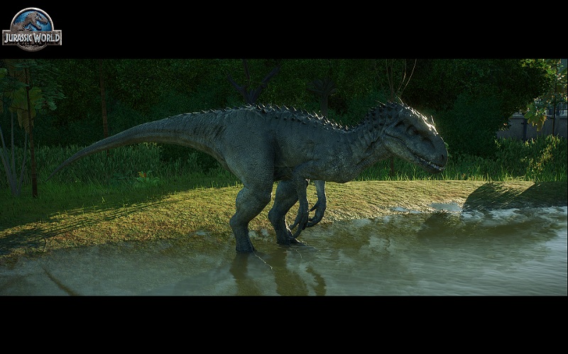 Morning Drink - Indo Raptor - JWE 2.jpg