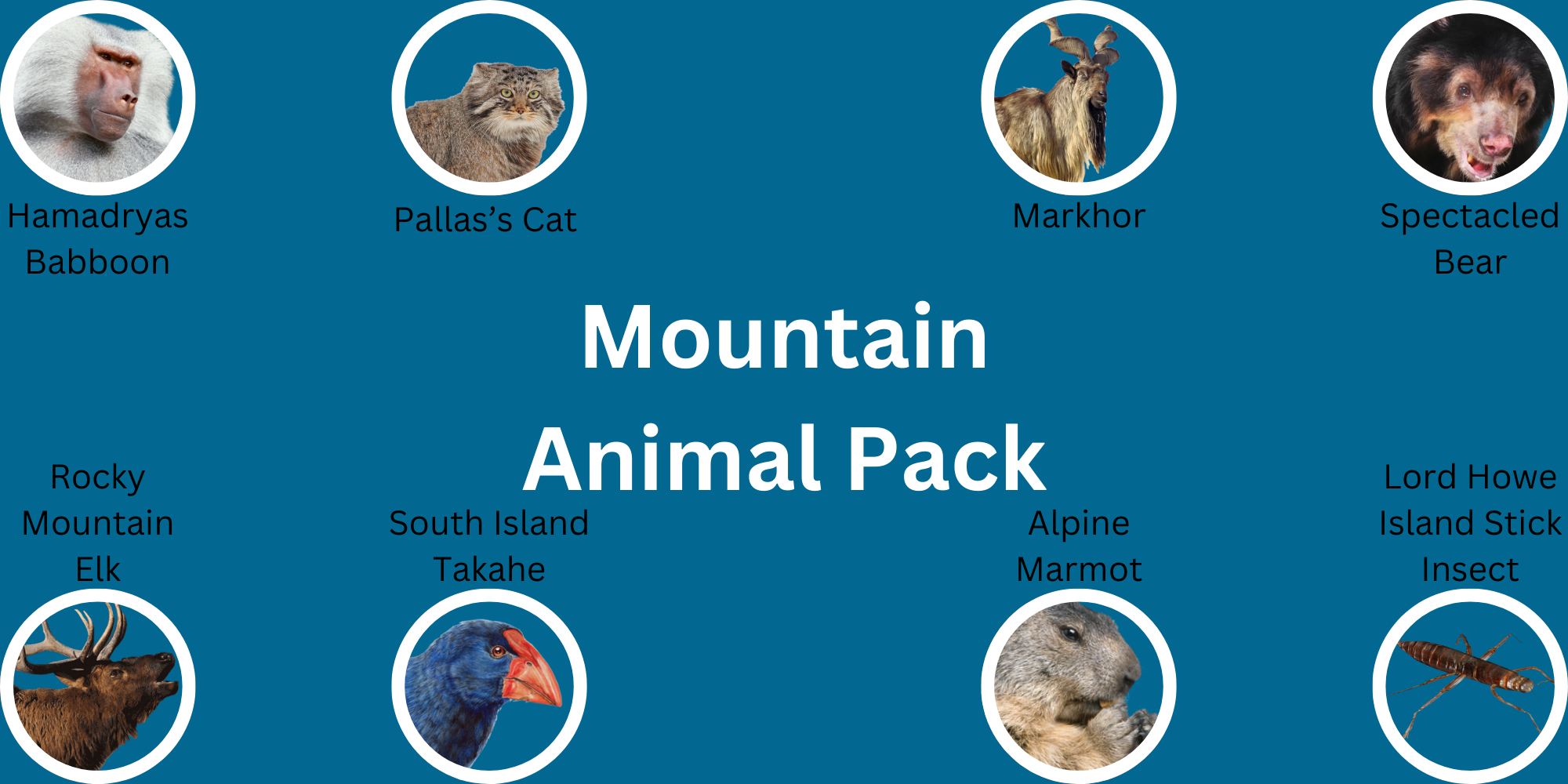 Mountain Animal Pack.png
