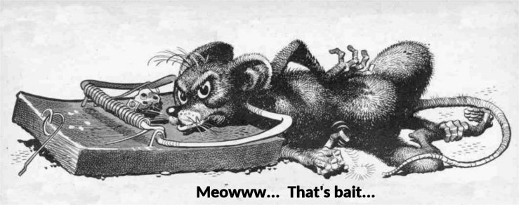 mouse.jpg