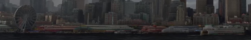 msfsferris.jpg