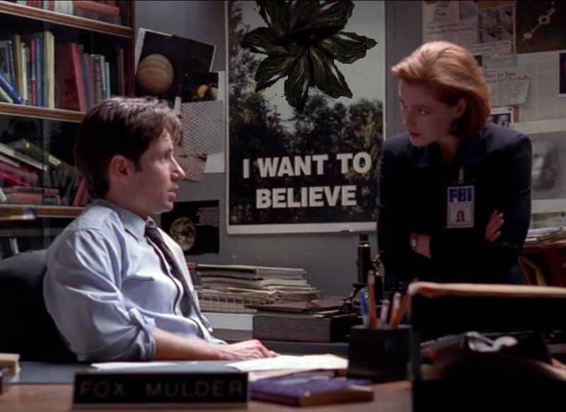 mulder.png