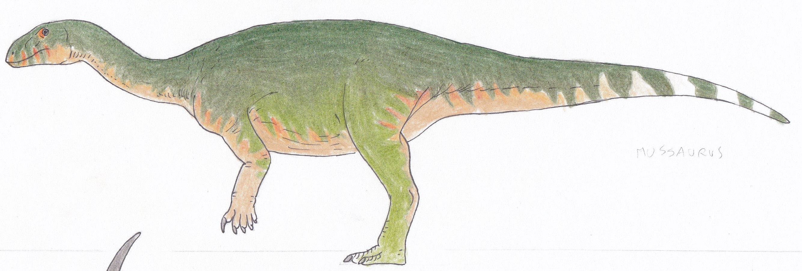 mussaurus.jpg