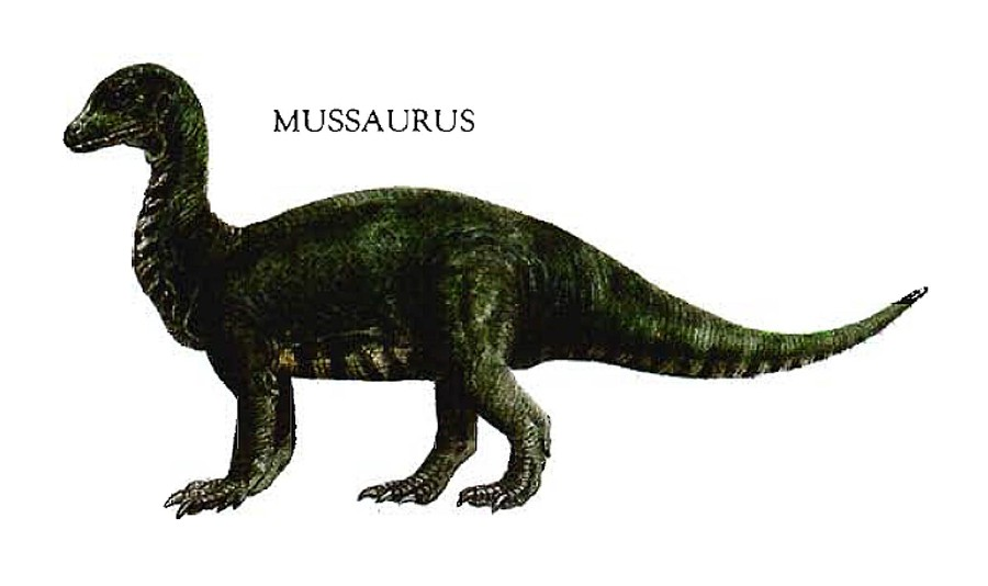 mussaurus.png