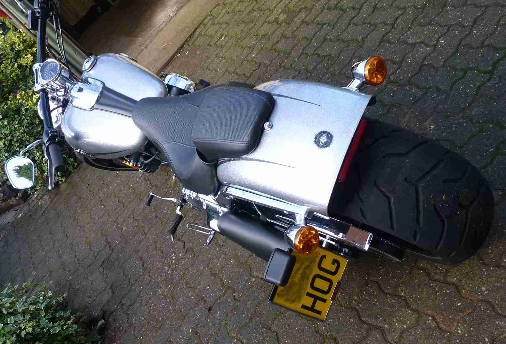 My FXSB Rear.JPG