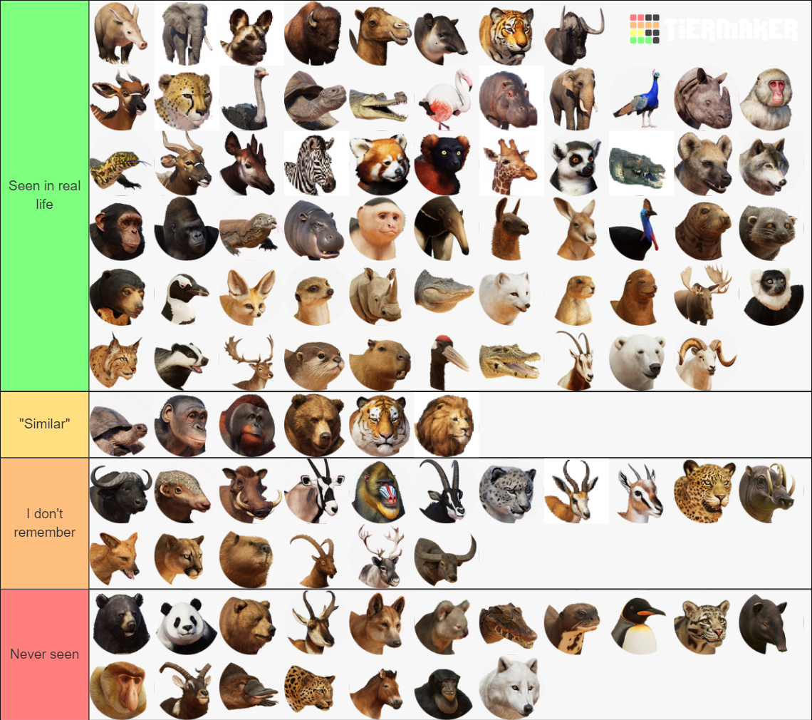 my-image (4).png