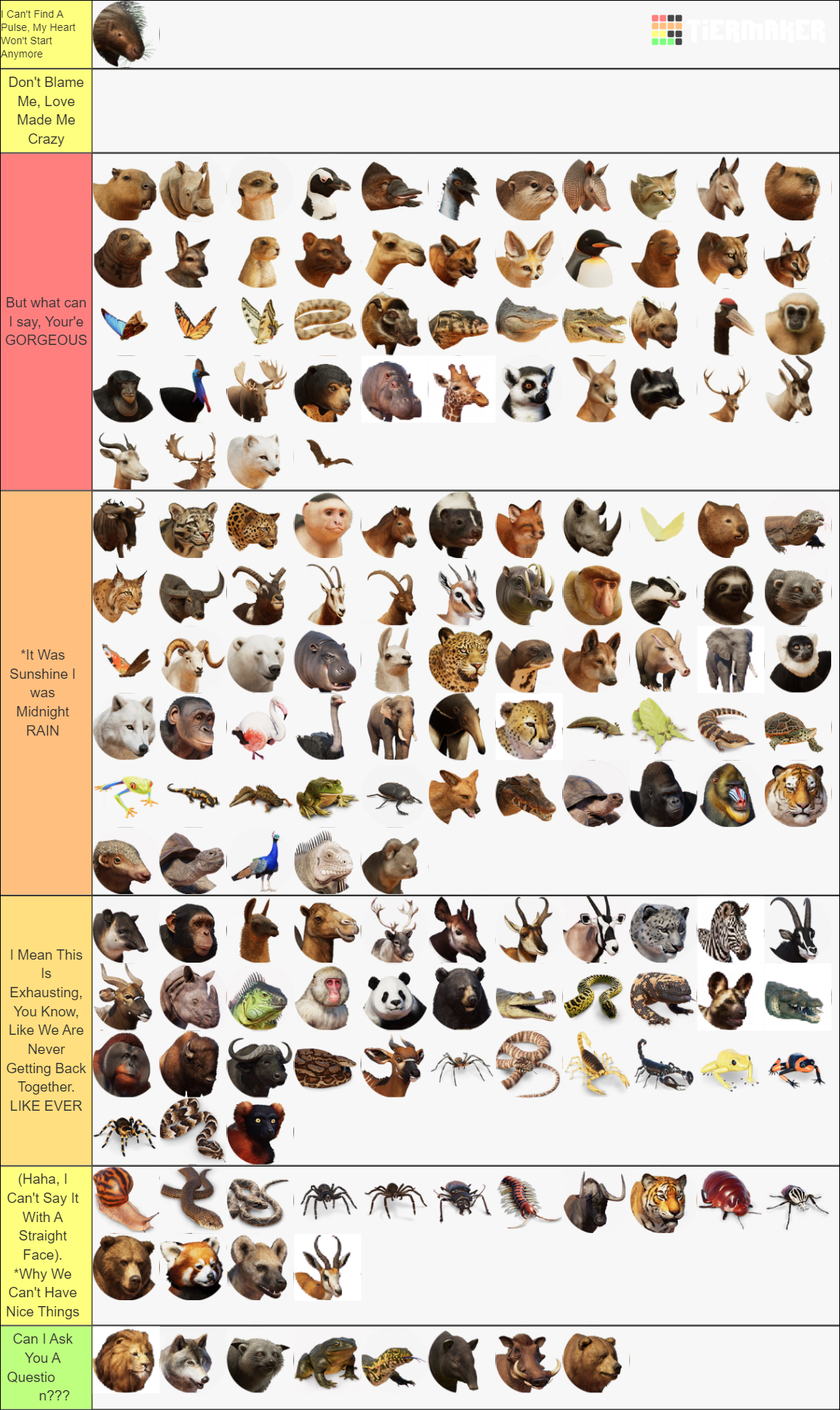 my-image (7).png