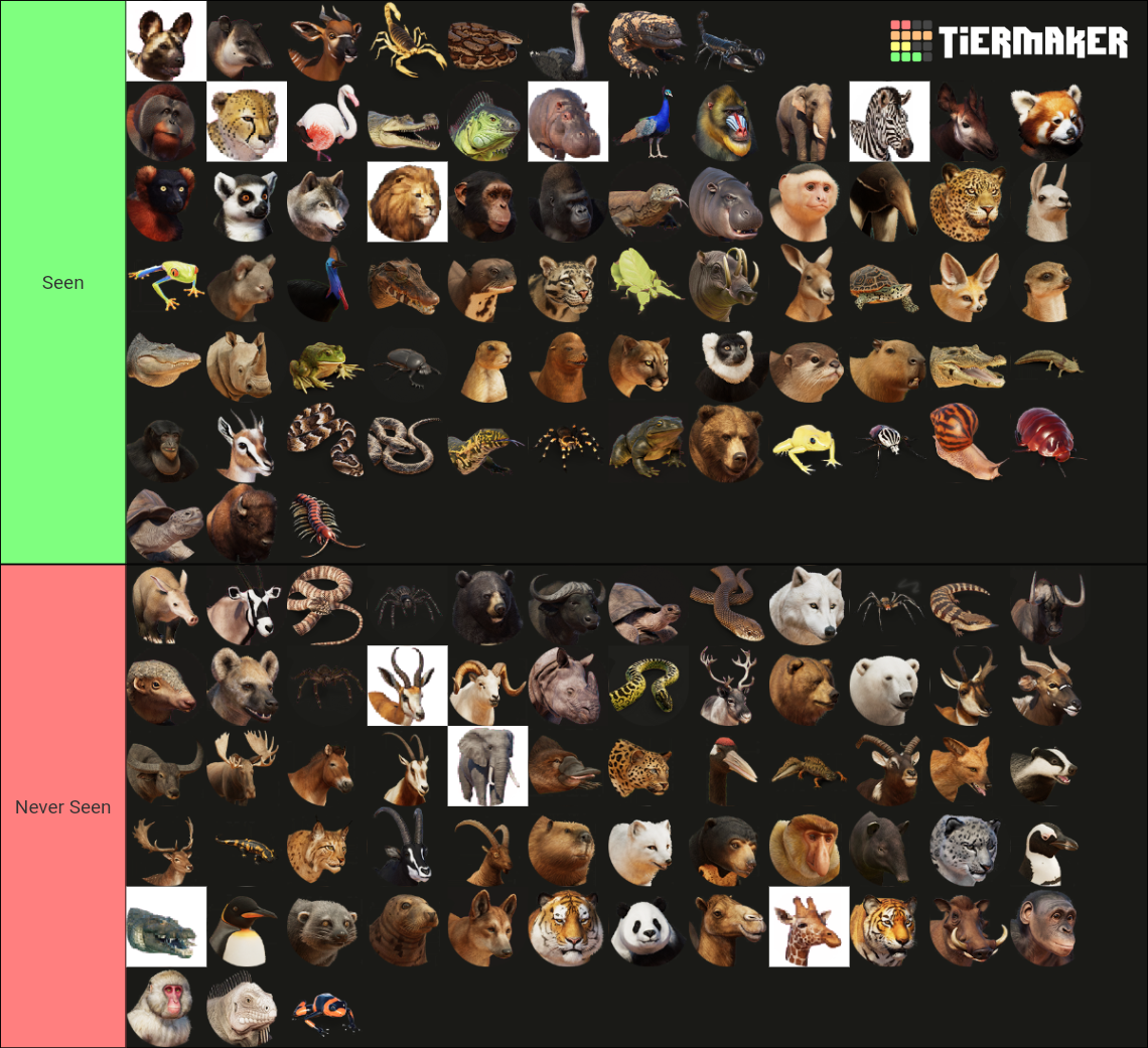 my-image.png