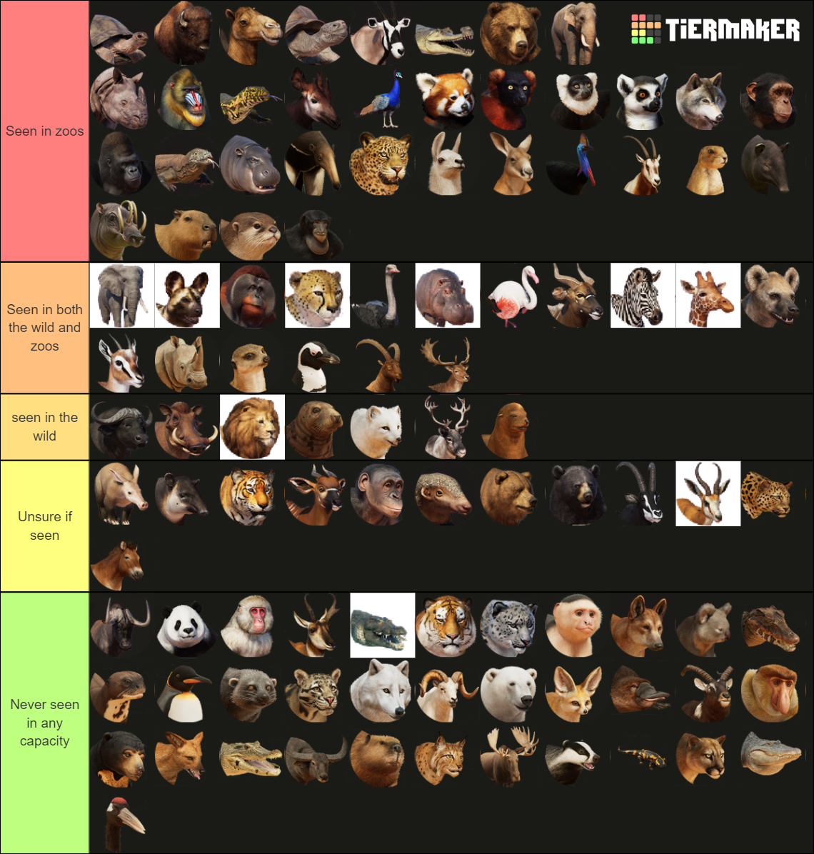 my-image.png