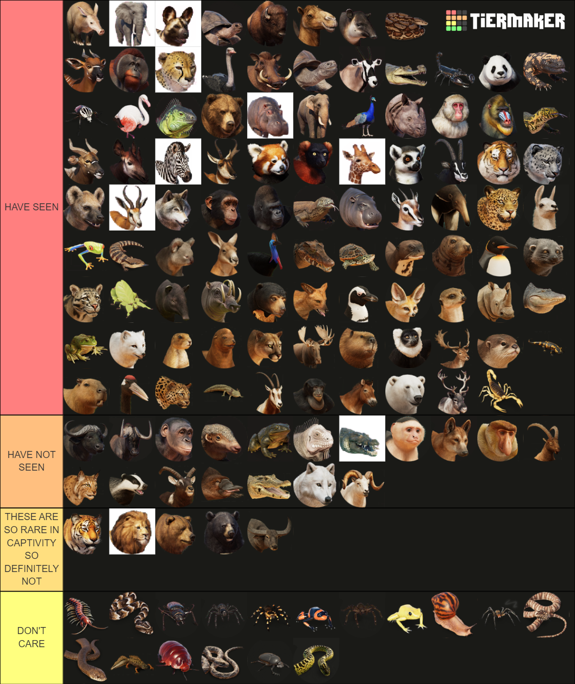 my-image.png