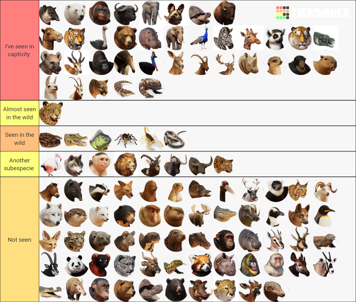 my-image.png