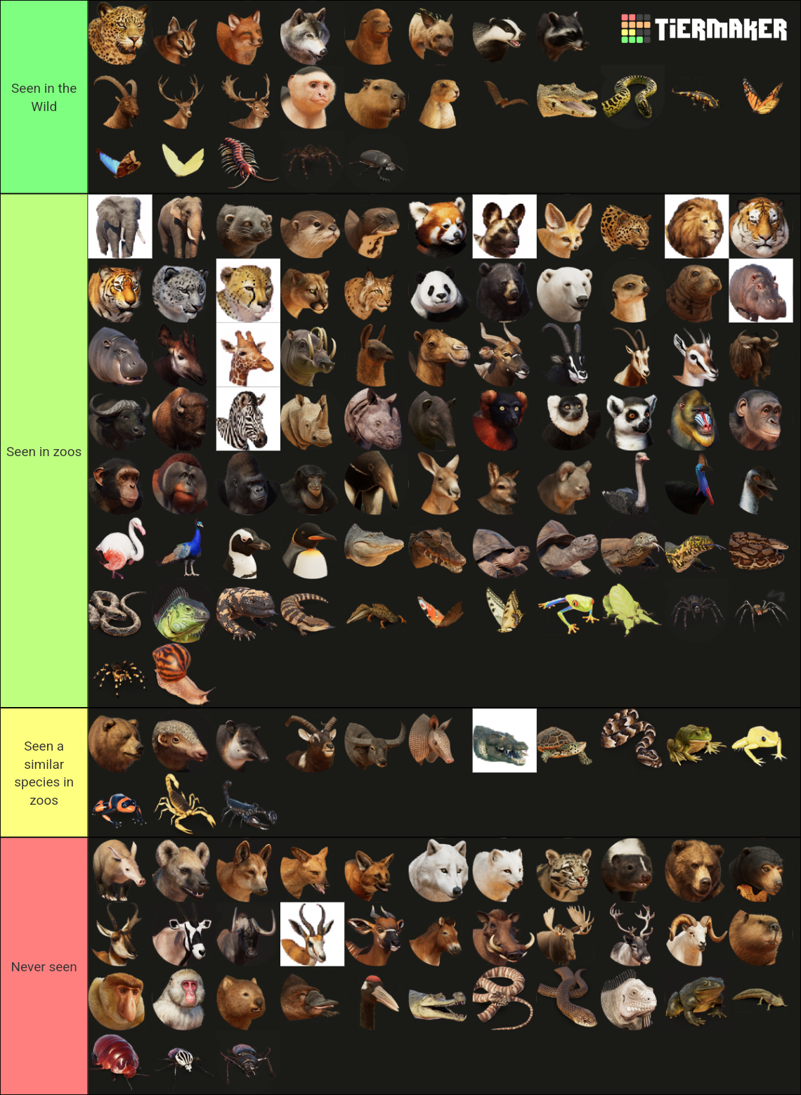 my-image.png