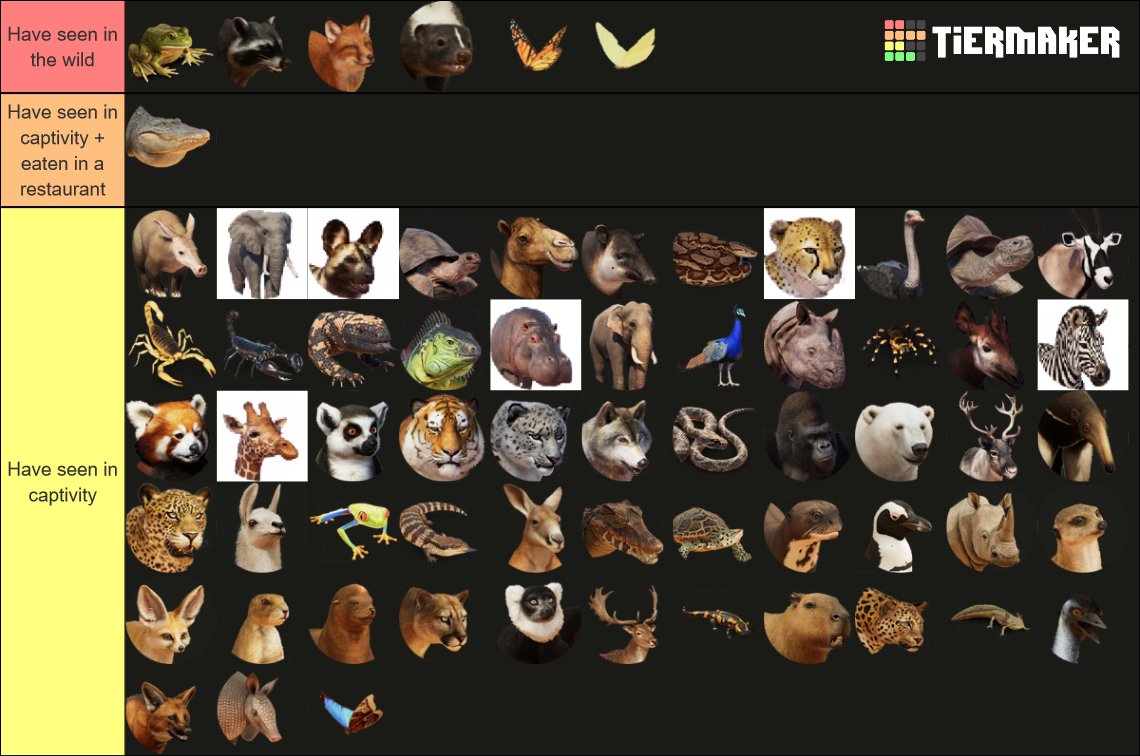 my-image.png