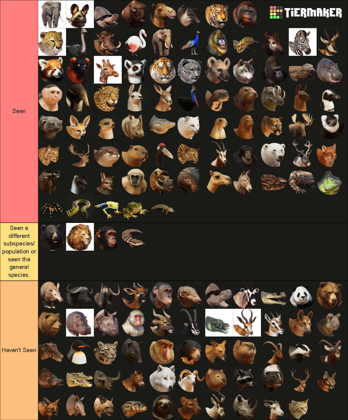my-image.png