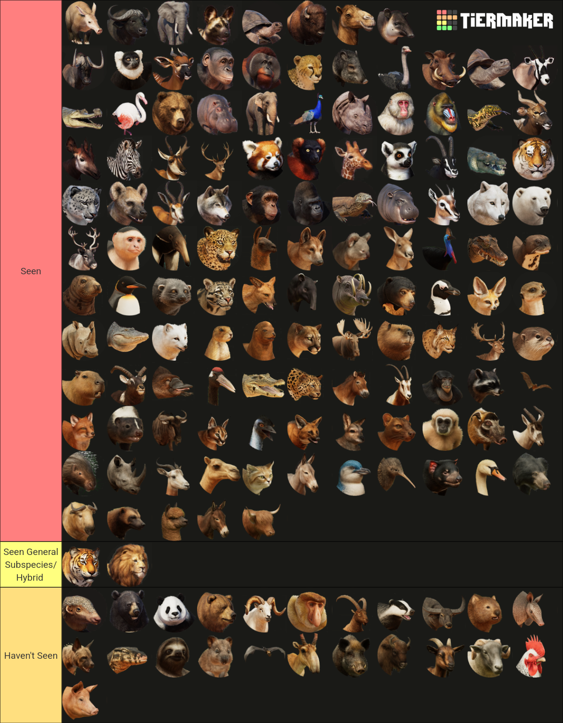 my-image.png