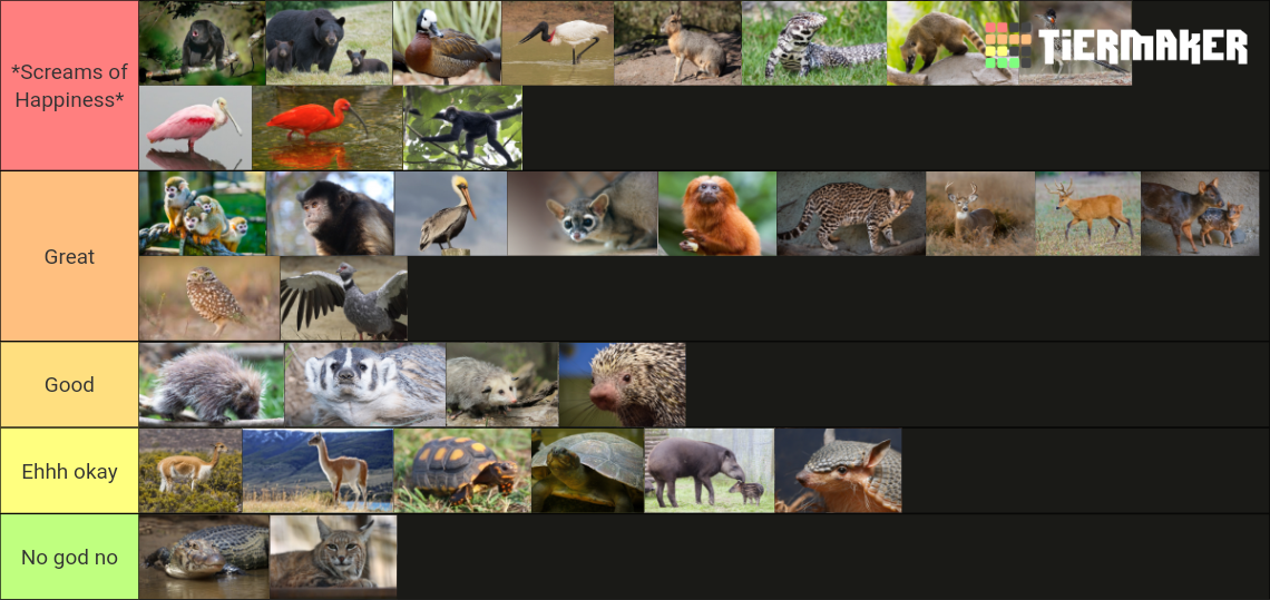 my-image.png
