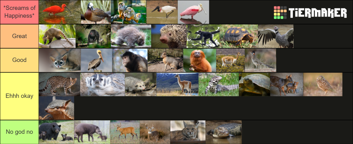my-image.png