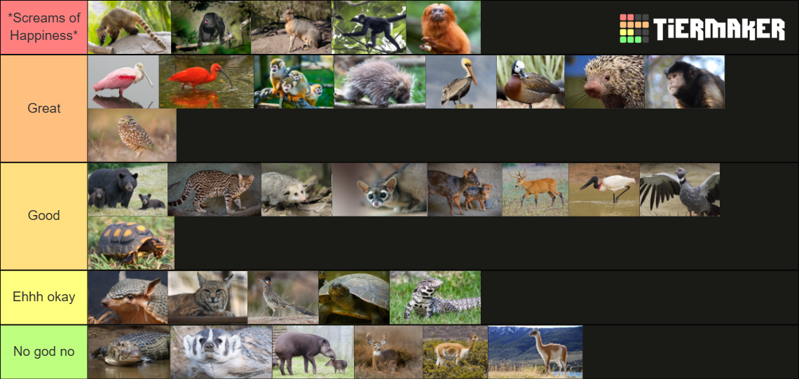 my-image.png