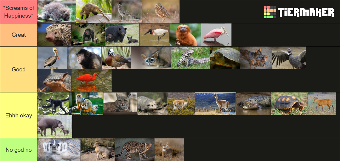 my-image.png