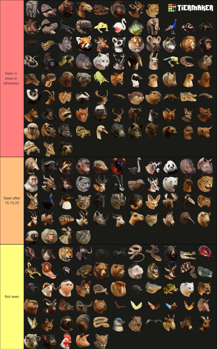my-image.png
