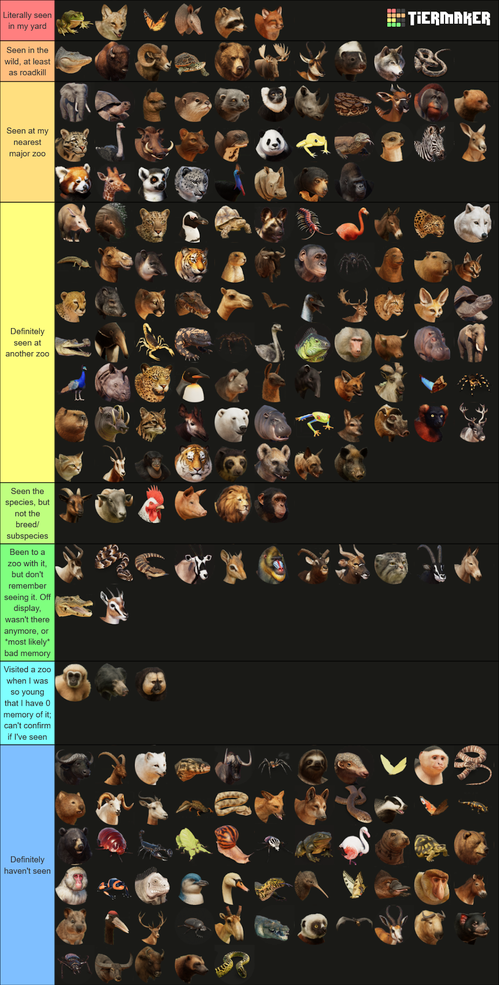 my-image2.png