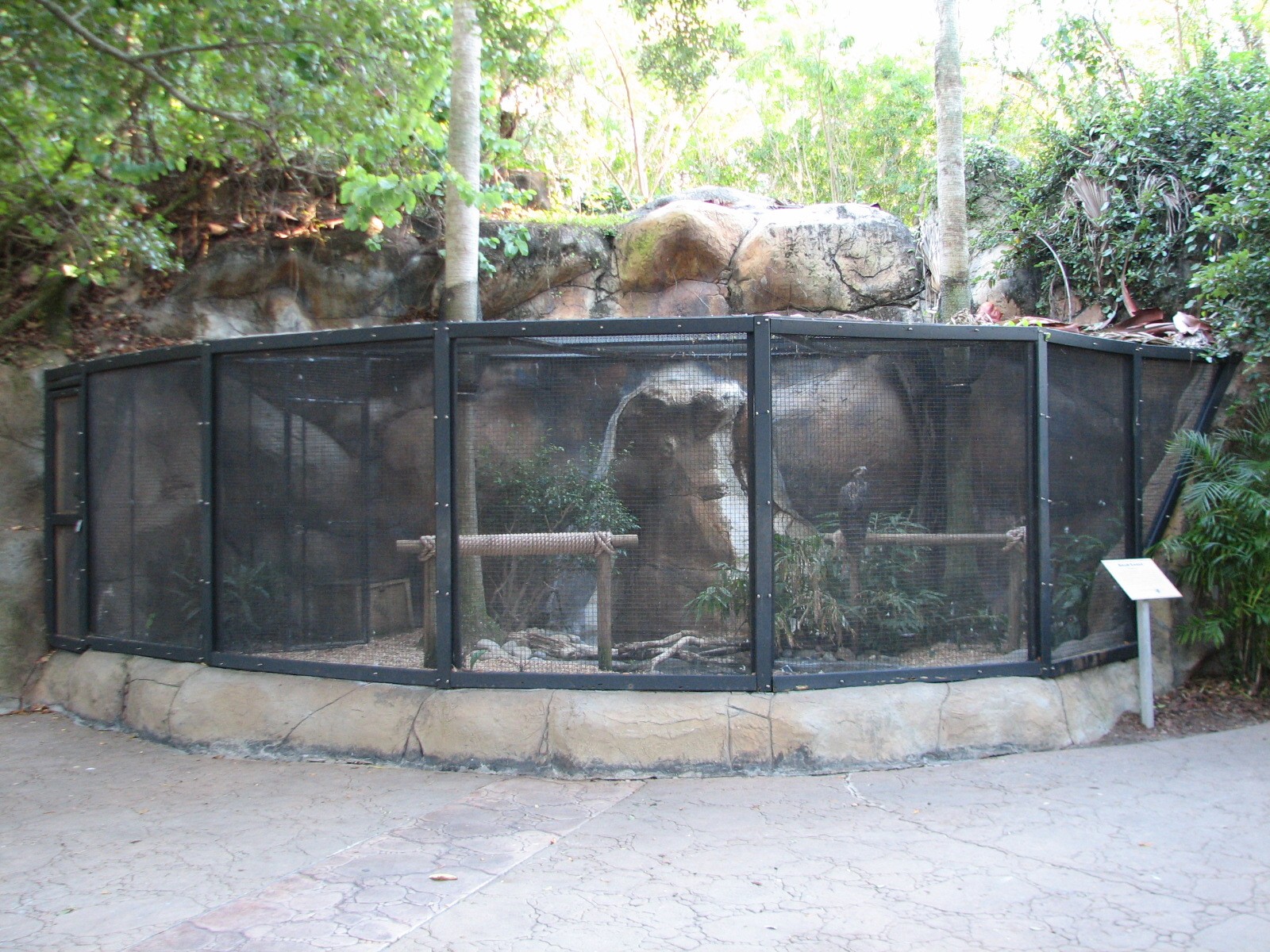 N005.jpg