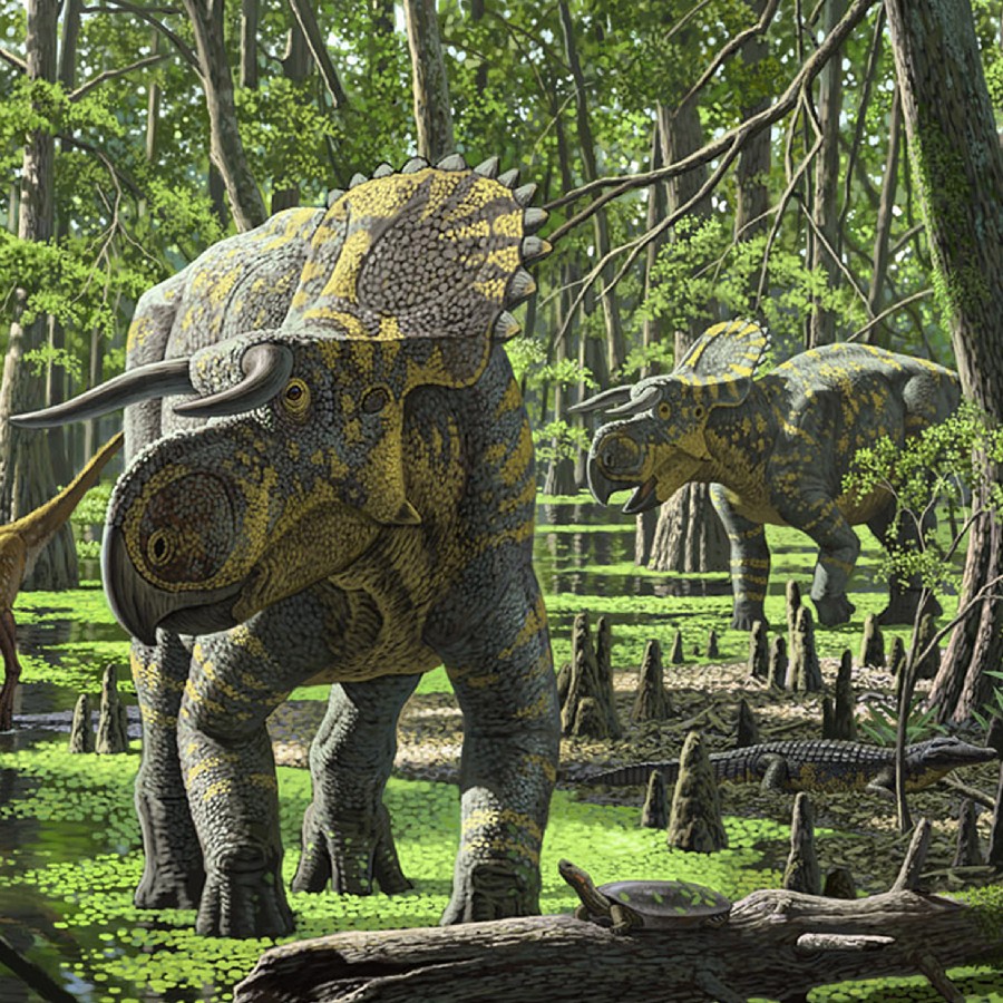 Nasutoceratops-swamp-martin_30e0.jpg