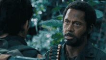 nevergofull.gif