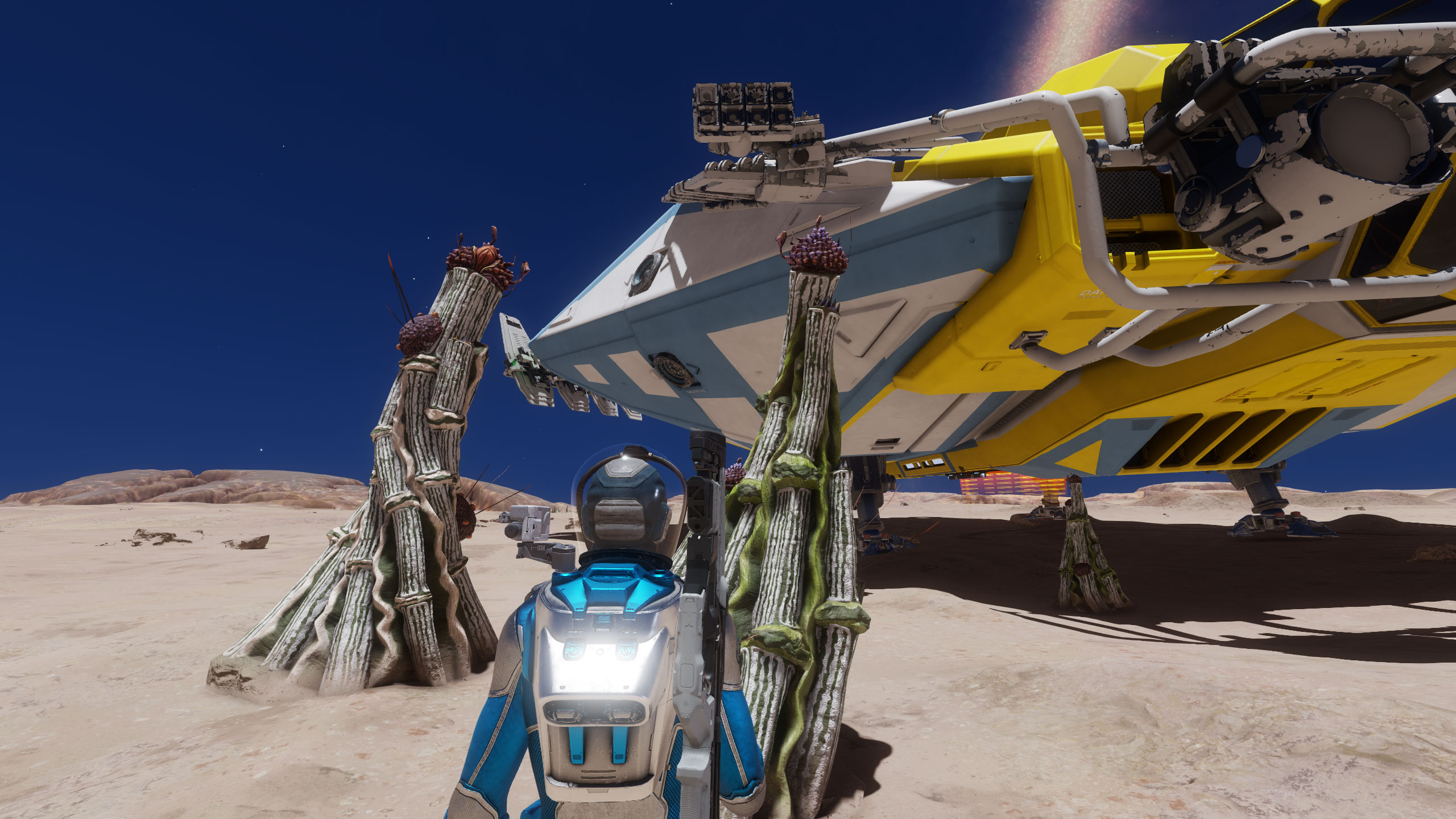 new-cactus.jpg