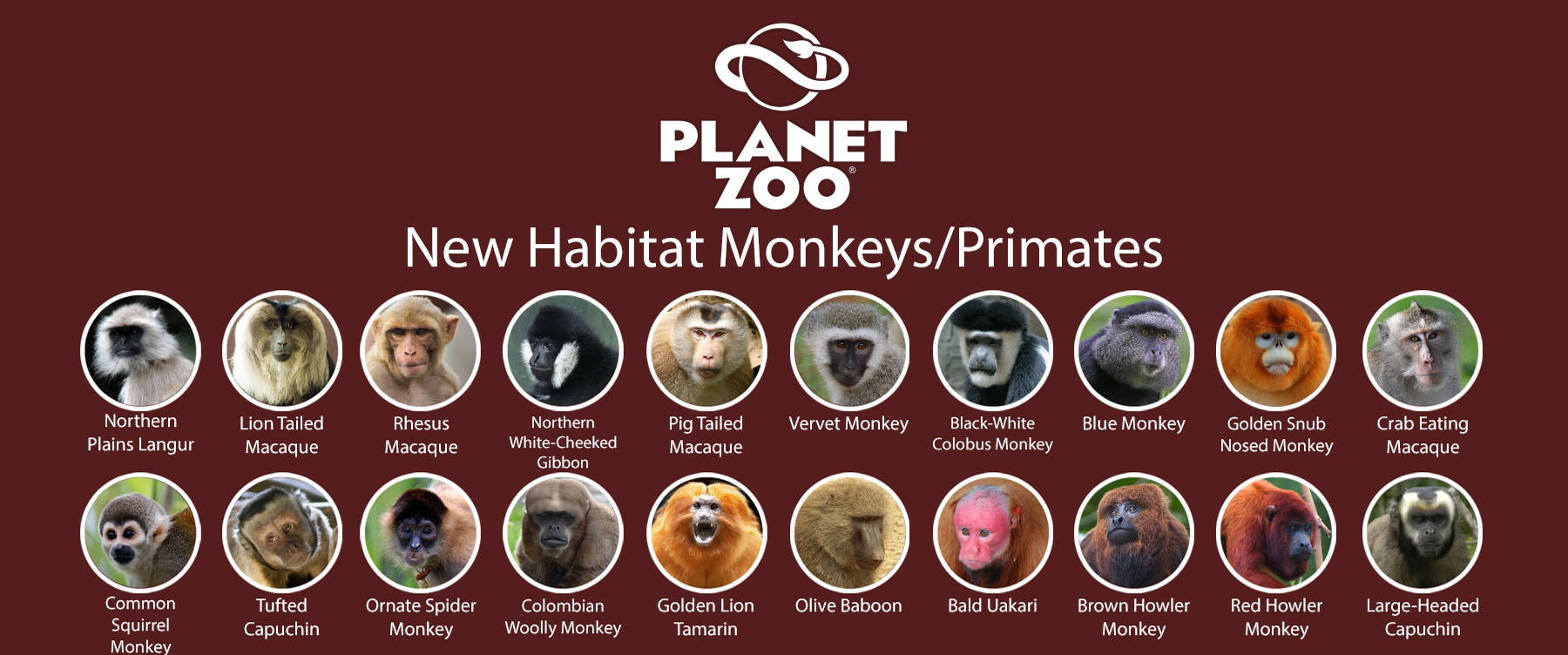 New Habitat Monkeys Primates.jpg