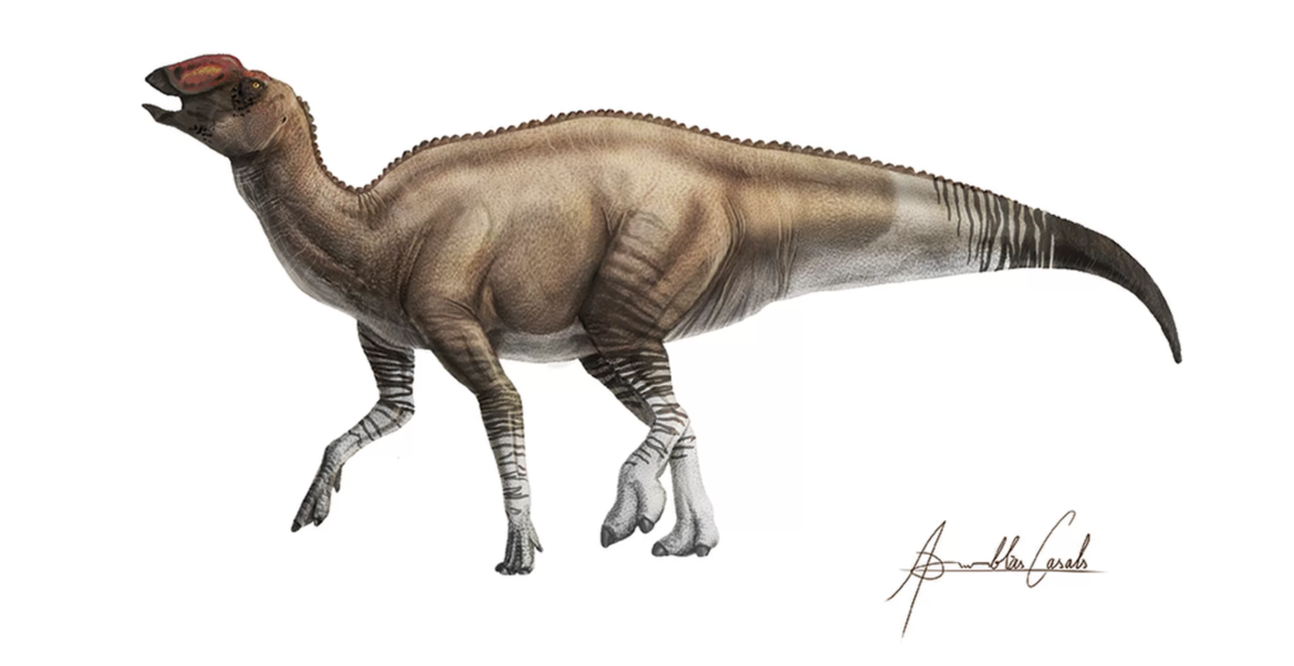 Dinosaurs Dinosaur Wishlist Mega Thread | Page 41 | Frontier Forums