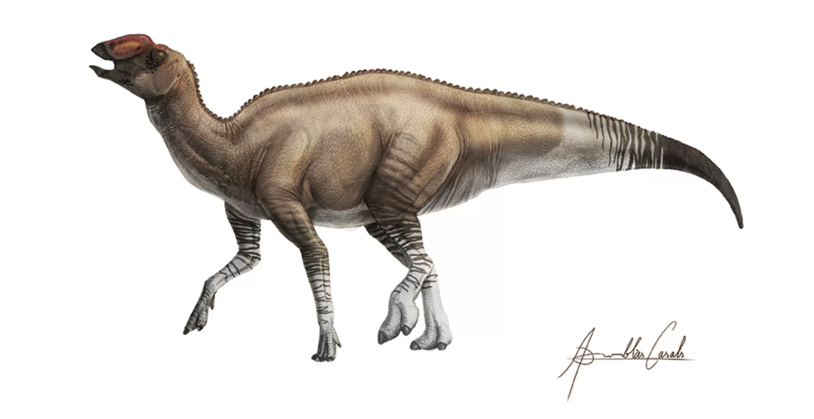 new-hadrosaur.png