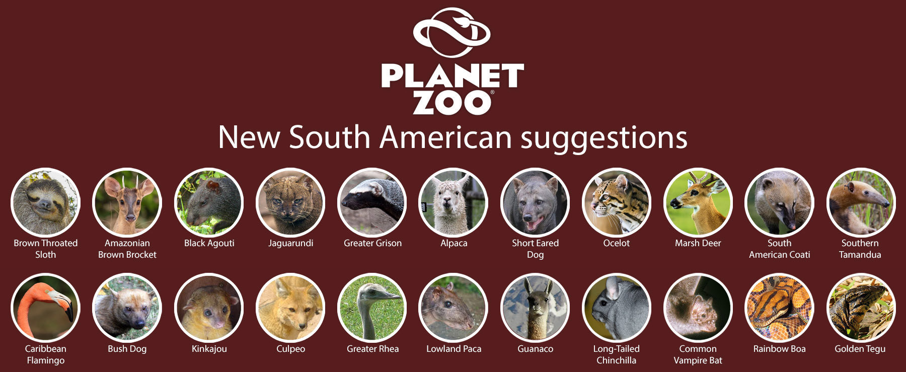 New South American Animals.jpg