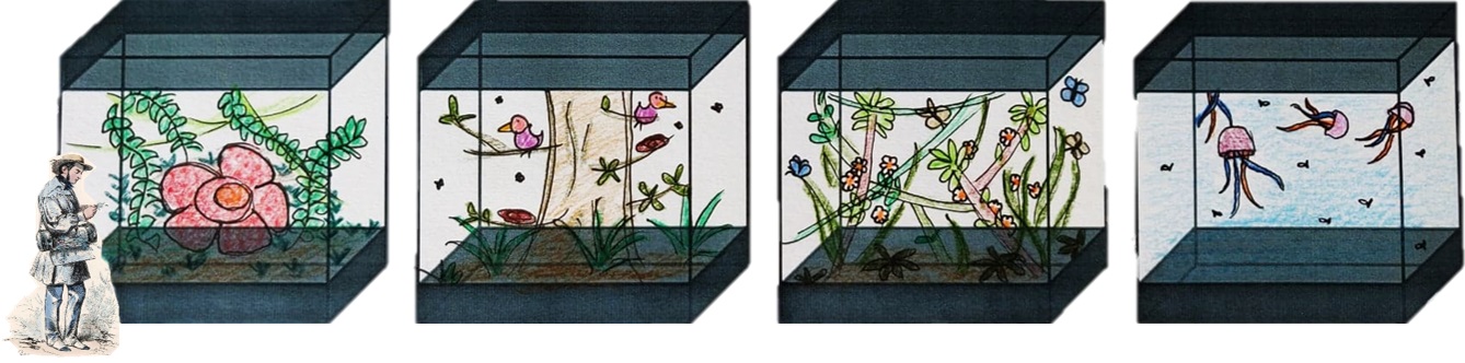 New vivariums.jpg
